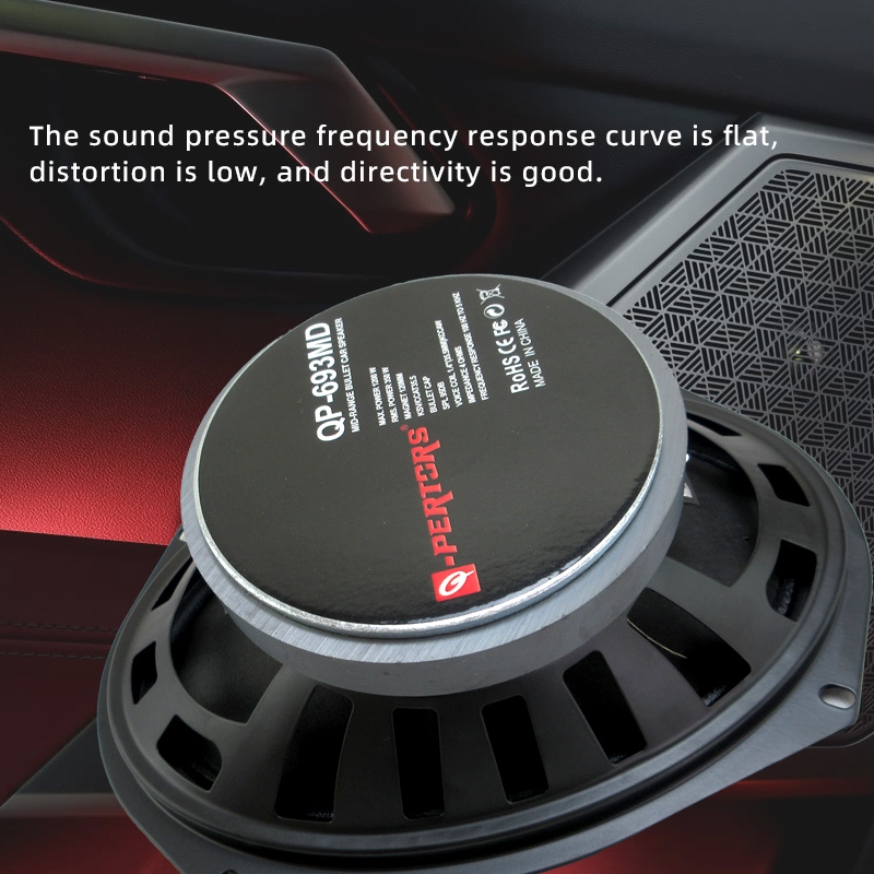 Altavoces para coche de 6x9 pu - Audio Universal Music reseña y precio