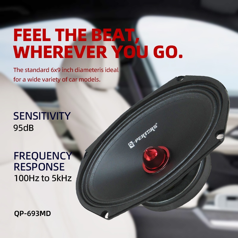 Altavoces para coche de 6x9 pu - Audio Universal Music reseña y precio